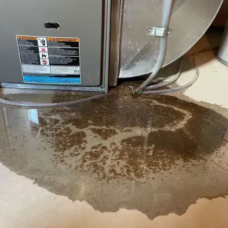 Appliance Leak Cleanup in Boonville, CA